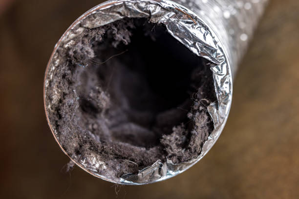 Best Ductwork Cleaning Services  in Ranchester, WY